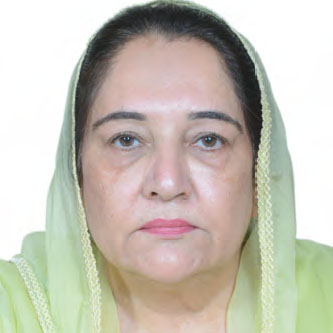 speaker image
