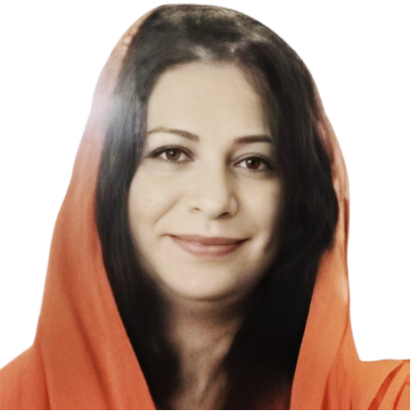 speaker image