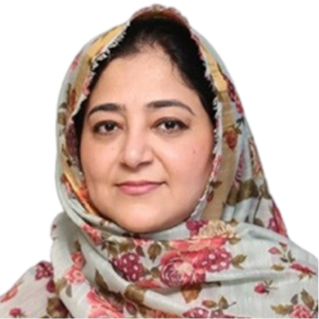 speaker image